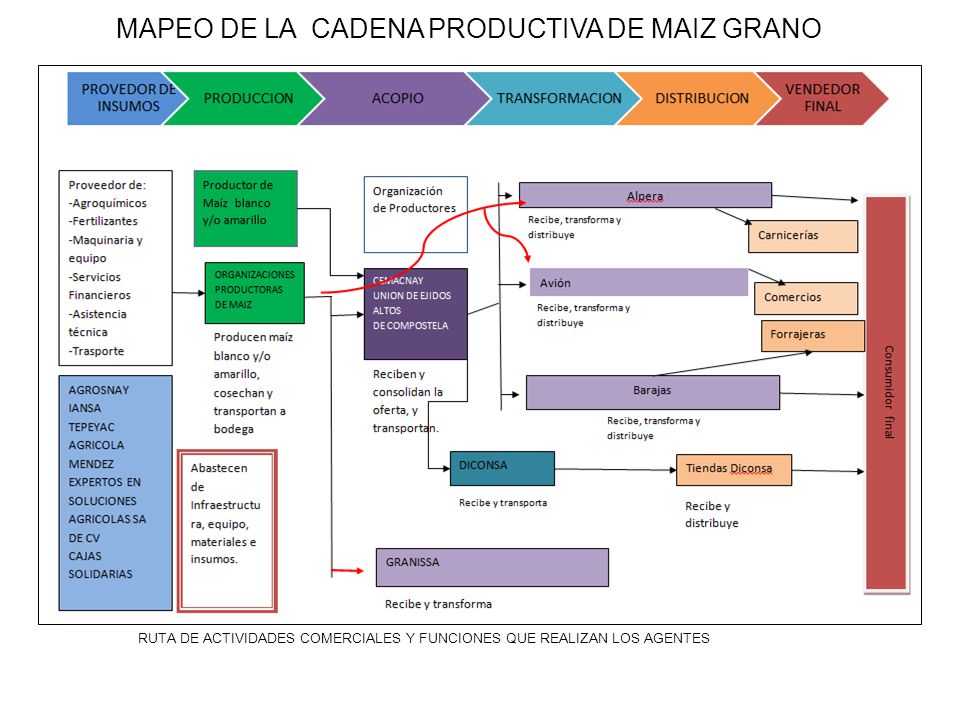 MAPEO DE LA CADENA PRODUCTIVA DE MAIZ GRANO