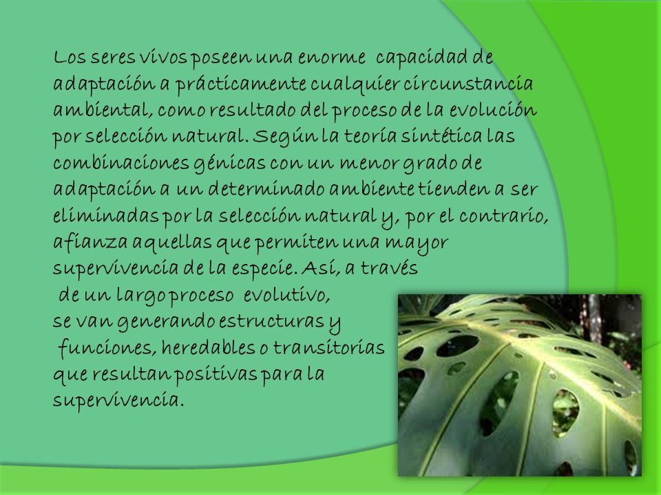 Los seres vivos poseen una enorme capacidad de adaptación a prácticamente cualquier circunstancia ambiental, como resultado del proceso de la evolución por selección natural.