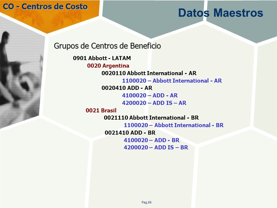 Datos Maestros CO - Centros de Costo Grupos de Centros de Beneficio