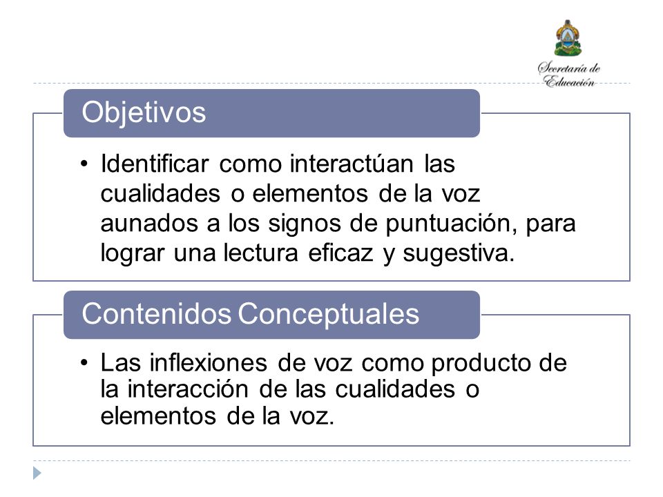 Contenidos Conceptuales