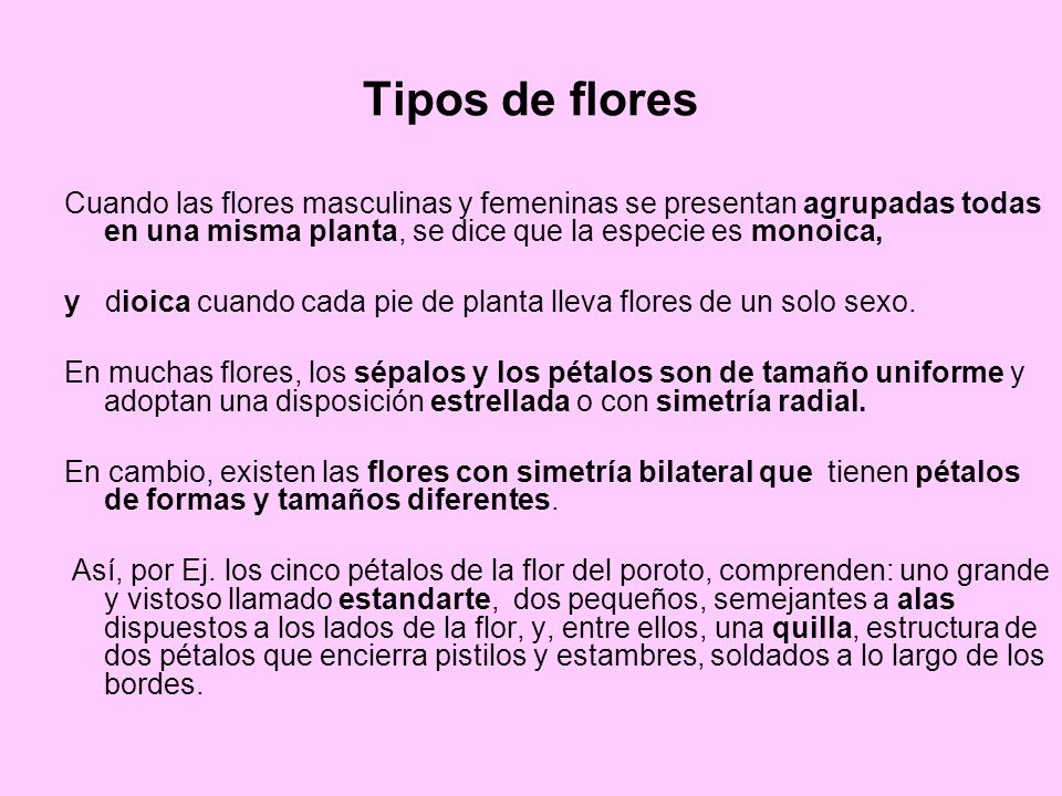 Tipos de flores Cuando las flores masculinas y femeninas se presentan agrupadas todas en una misma planta, se dice que la especie es monoica,