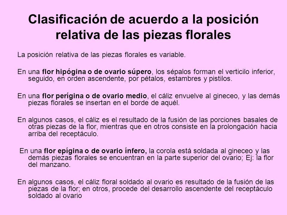 Clasificación de acuerdo a la posición relativa de las piezas florales
