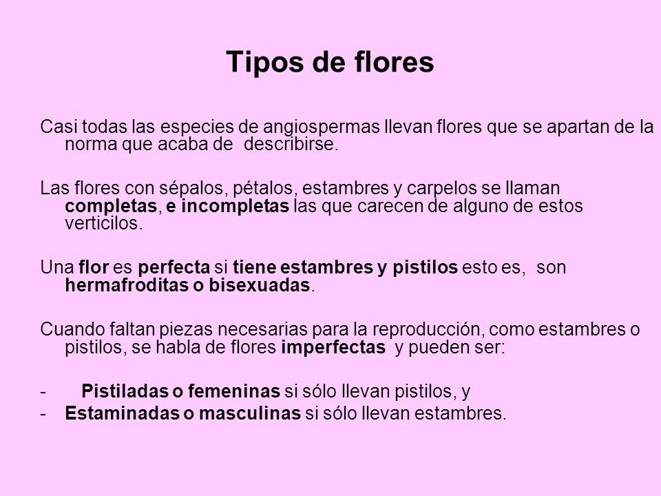 Tipos de flores Casi todas las especies de angiospermas llevan flores que se apartan de la norma que acaba de describirse.
