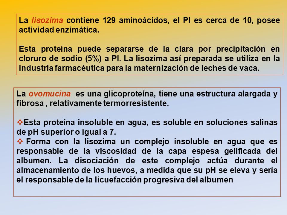 La lisozima contiene 129 aminoácidos, el PI es cerca de 10, posee actividad enzimática.