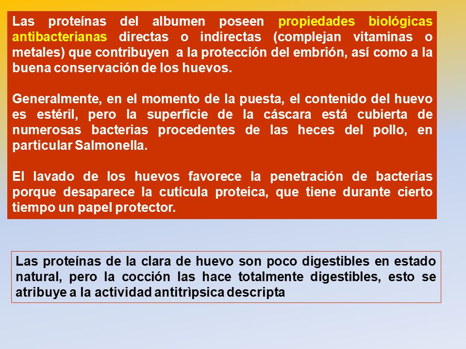 Las proteínas del albumen poseen propiedades biológicas antibacterianas directas o indirectas (complejan vitaminas o metales) que contribuyen a la protección del embrión, así como a la buena conservación de los huevos.