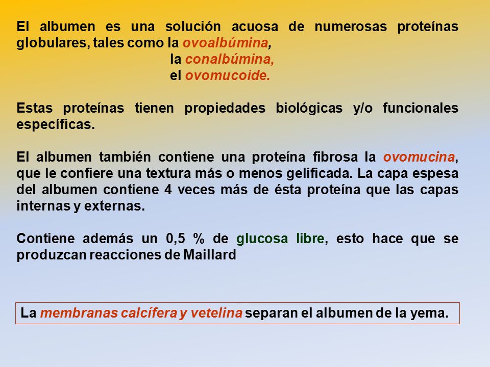 El albumen es una solución acuosa de numerosas proteínas globulares, tales como la ovoalbúmina,