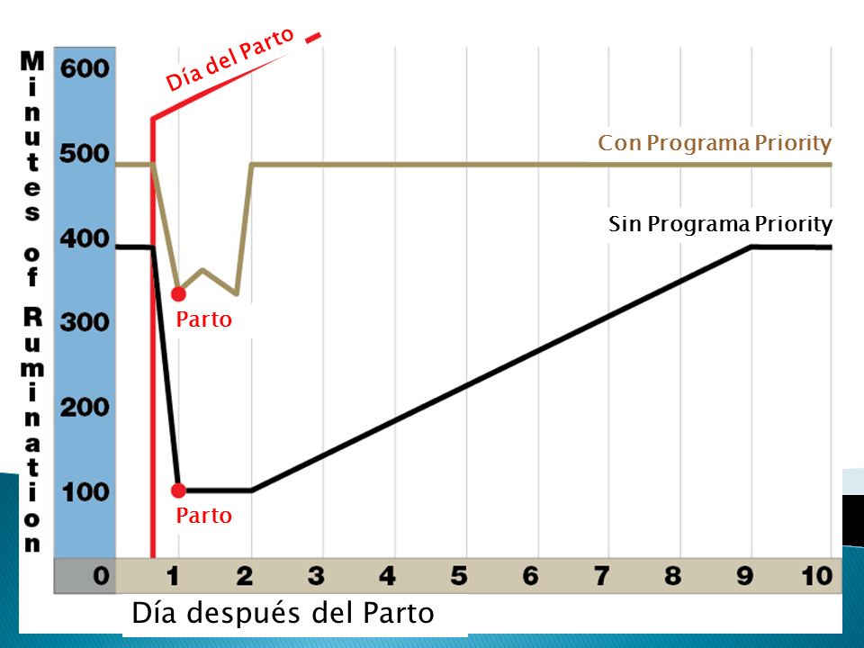Día después del Parto Día del Parto Con Programa Priority