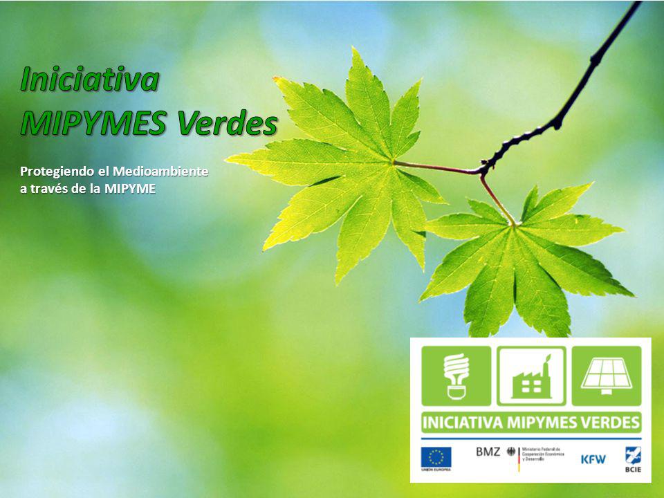 Iniciativa MIPYMES Verdes Protegiendo el Medioambiente