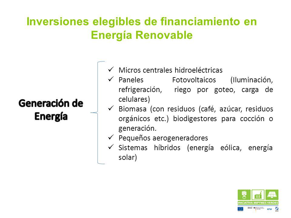 Inversiones elegibles de financiamiento en Energía Renovable