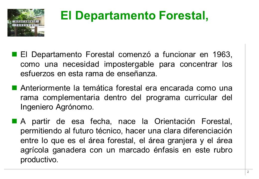El Departamento Forestal,