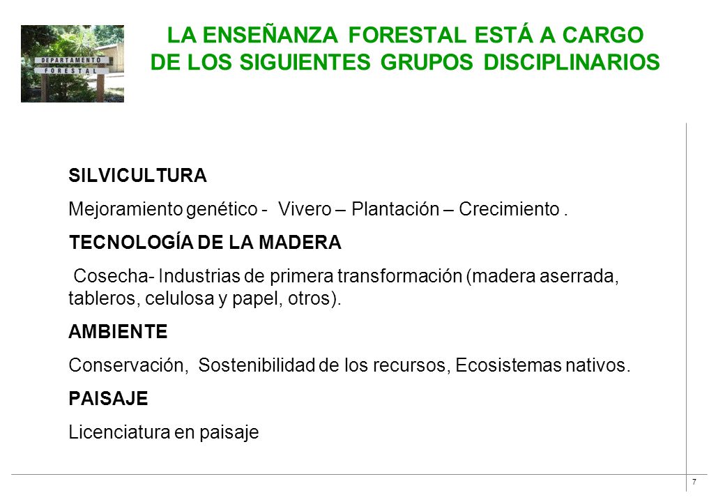 La enseñanza forestal está a cargo de los siguientes grupos disciplinarios