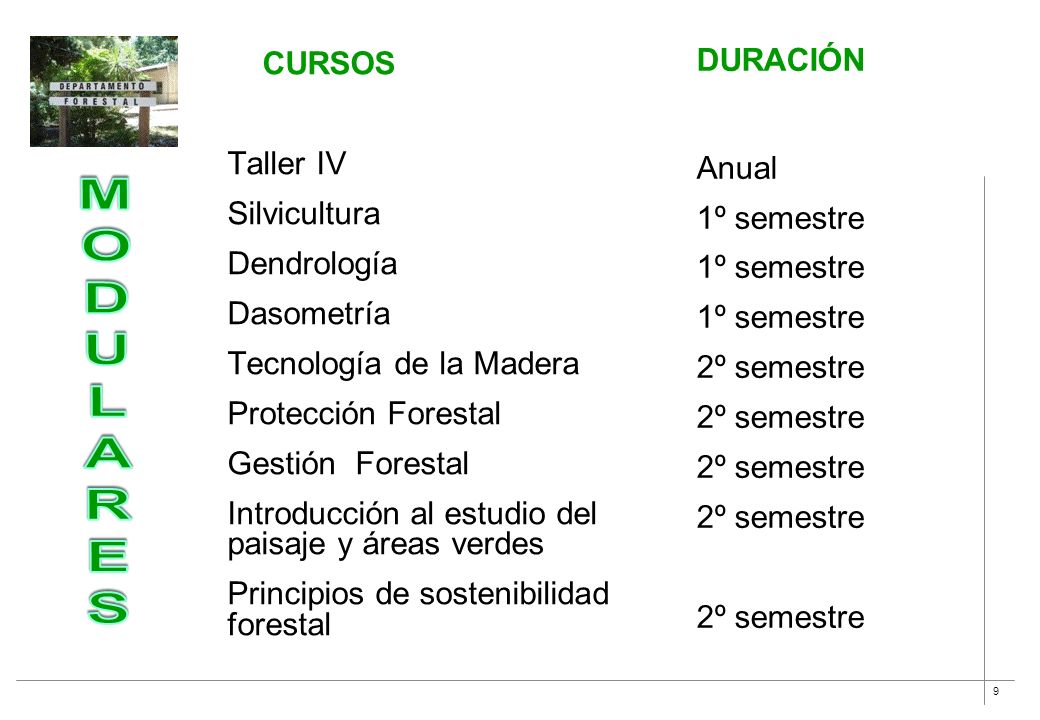 M O D U L A R E S DURACIÓN CURSOS Taller IV Anual Silvicultura