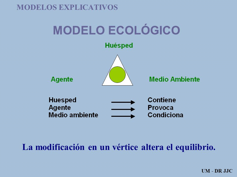 MODELO ECOLÓGICO La modificación en un vértice altera el equilibrio.