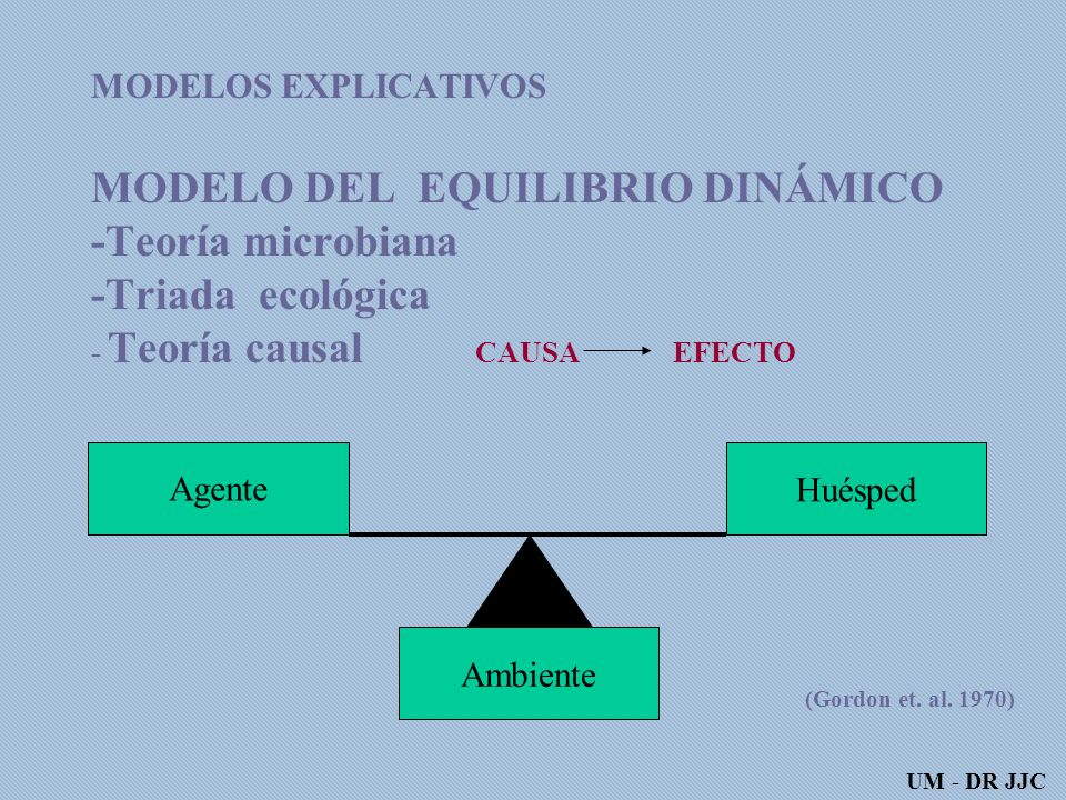 MODELOS EXPLICATIVOS MODELO DEL EQUILIBRIO DINÁMICO -Teoría microbiana -Triada ecológica - Teoría causal CAUSA EFECTO