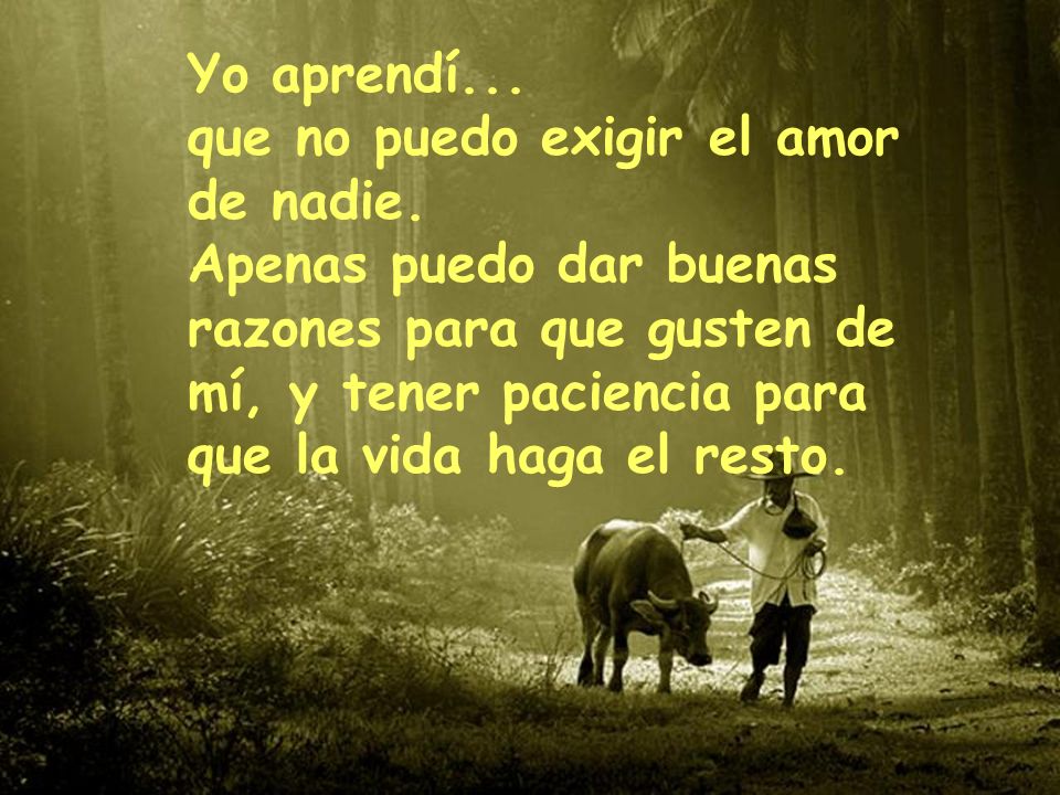 Yo aprendí. que no puedo exigir el amor de nadie