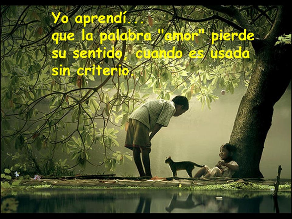 Yo aprendí... que la palabra amor pierde su sentido, cuando es usada sin criterio.