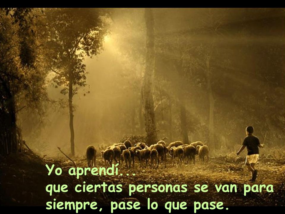 Yo aprendí... que ciertas personas se van para siempre, pase lo que pase.