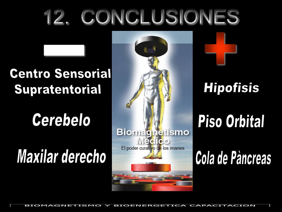 12. CONCLUSIONES + - Centro Sensorial. Supratentorial. Hipofisis. Cerebelo. Piso Orbital. Maxilar derecho.