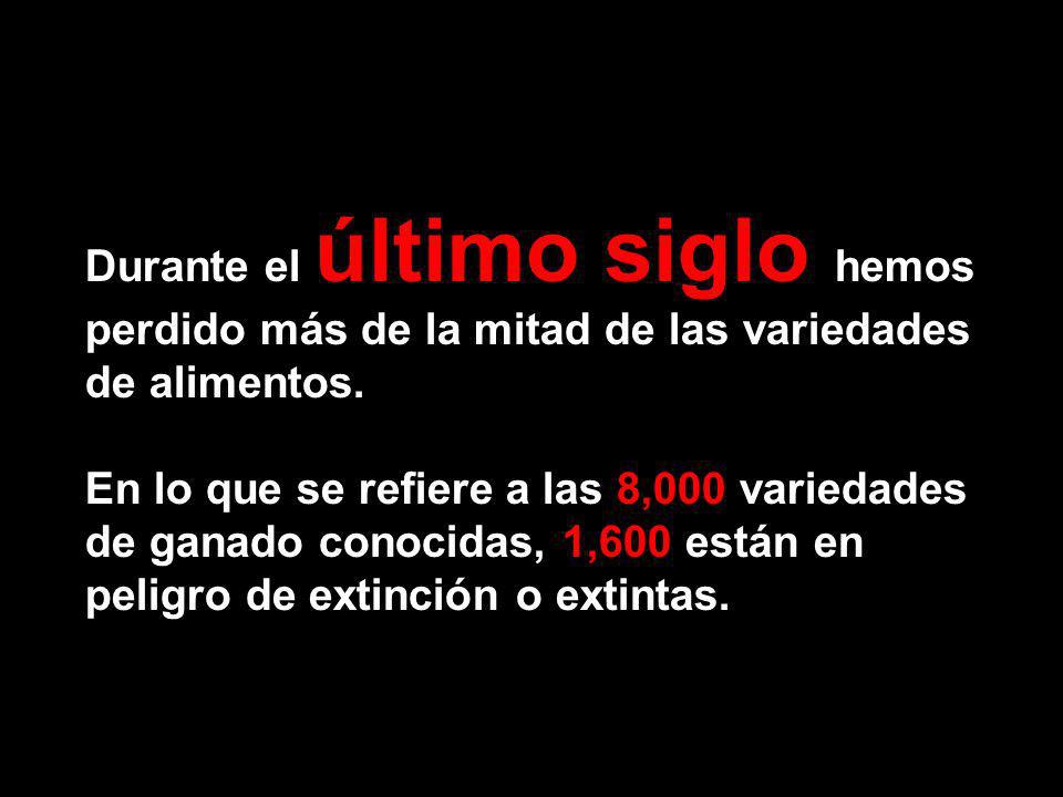 Durante el último siglo hemos perdido más de la mitad de las variedades de alimentos.