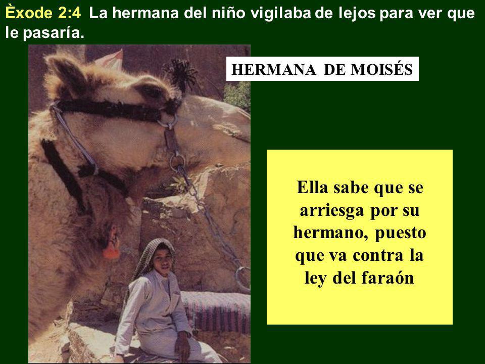 Èxode 2:4 La hermana del niño vigilaba de lejos para ver que le pasaría.