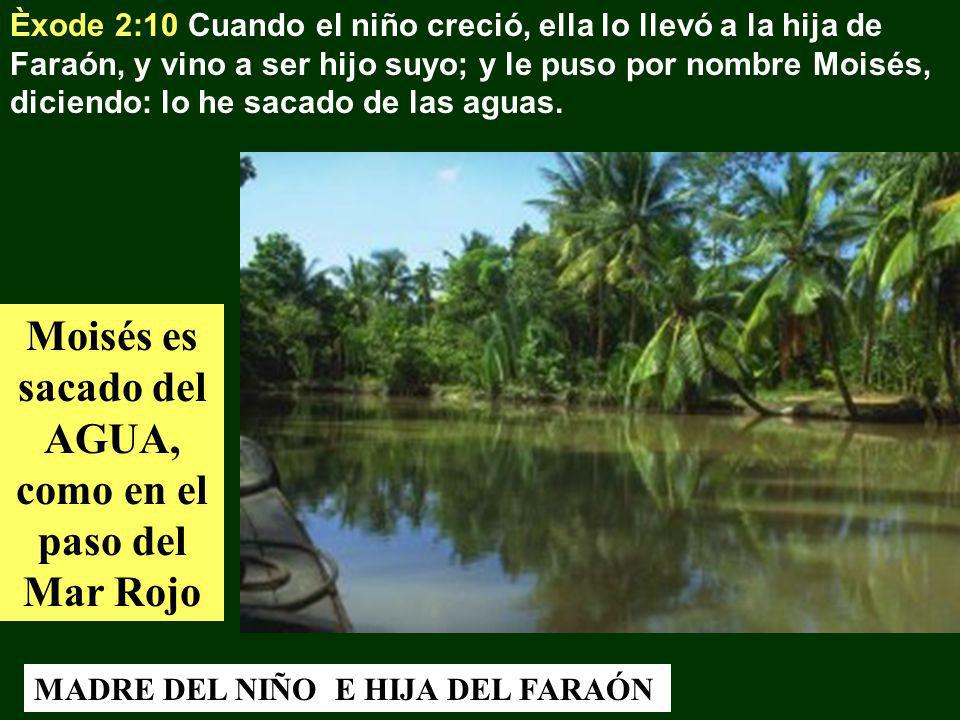 Moisés es sacado del AGUA, como en el paso del Mar Rojo