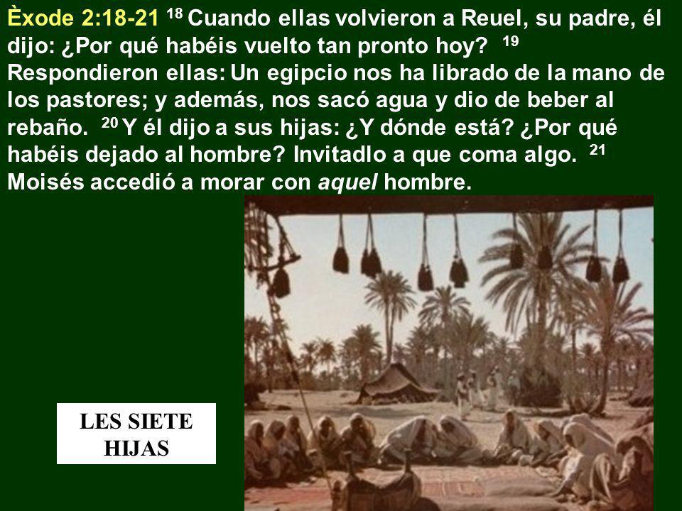 Èxode 2: Cuando ellas volvieron a Reuel, su padre, él dijo: ¿Por qué habéis vuelto tan pronto hoy 19 Respondieron ellas: Un egipcio nos ha librado de la mano de los pastores; y además, nos sacó agua y dio de beber al rebaño. 20 Y él dijo a sus hijas: ¿Y dónde está ¿Por qué habéis dejado al hombre Invitadlo a que coma algo. 21 Moisés accedió a morar con aquel hombre.