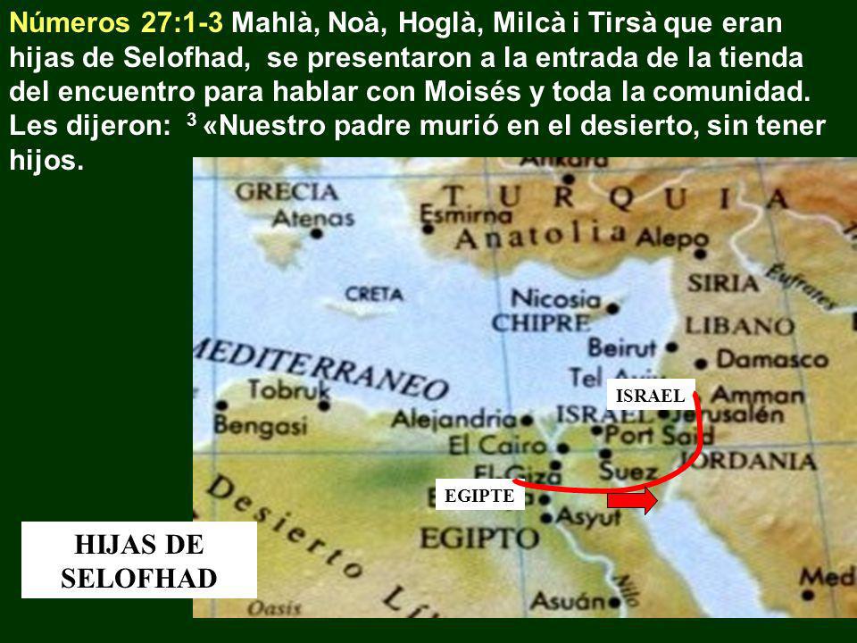 Números 27:1-3 Mahlà, Noà, Hoglà, Milcà i Tirsà que eran hijas de Selofhad, se presentaron a la entrada de la tienda del encuentro para hablar con Moisés y toda la comunidad. Les dijeron: 3 «Nuestro padre murió en el desierto, sin tener hijos.