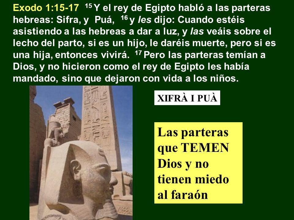 Las parteras que TEMEN Dios y no tienen miedo al faraón