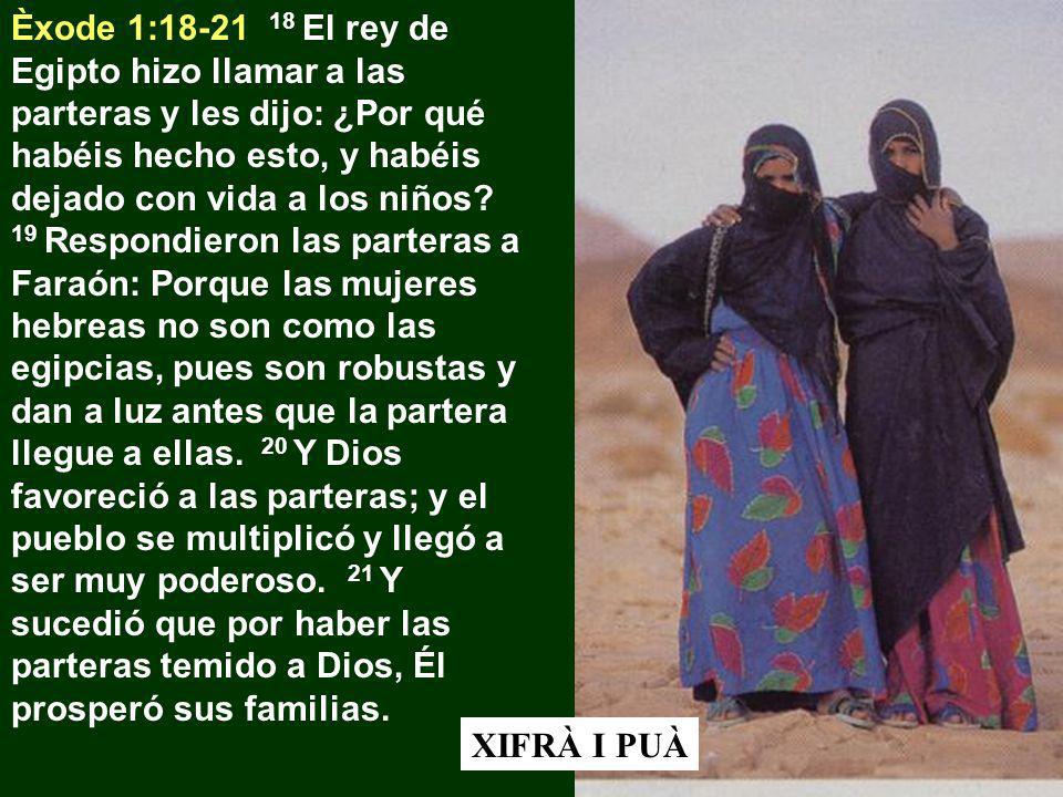 Èxode 1: El rey de Egipto hizo llamar a las parteras y les dijo: ¿Por qué habéis hecho esto, y habéis dejado con vida a los niños 19 Respondieron las parteras a Faraón: Porque las mujeres hebreas no son como las egipcias, pues son robustas y dan a luz antes que la partera llegue a ellas. 20 Y Dios favoreció a las parteras; y el pueblo se multiplicó y llegó a ser muy poderoso. 21 Y sucedió que por haber las parteras temido a Dios, Él prosperó sus familias.