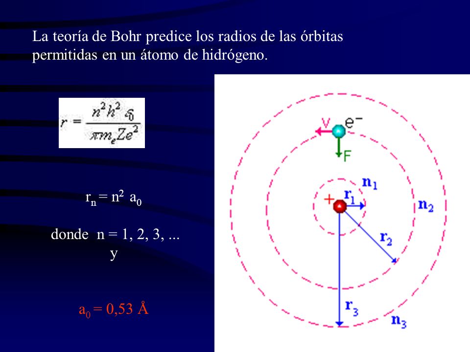 La teoría de Bohr predice los radios de las órbitas permitidas en un átomo de hidrógeno.