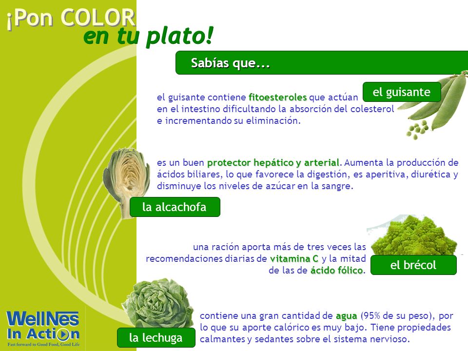 Sabías que... el guisante la alcachofa el brécol la lechuga