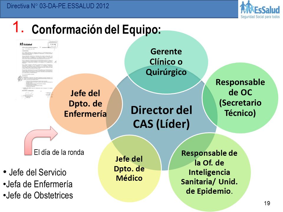 1. Director del CAS (Líder) Conformación del Equipo: Jefe del Servicio