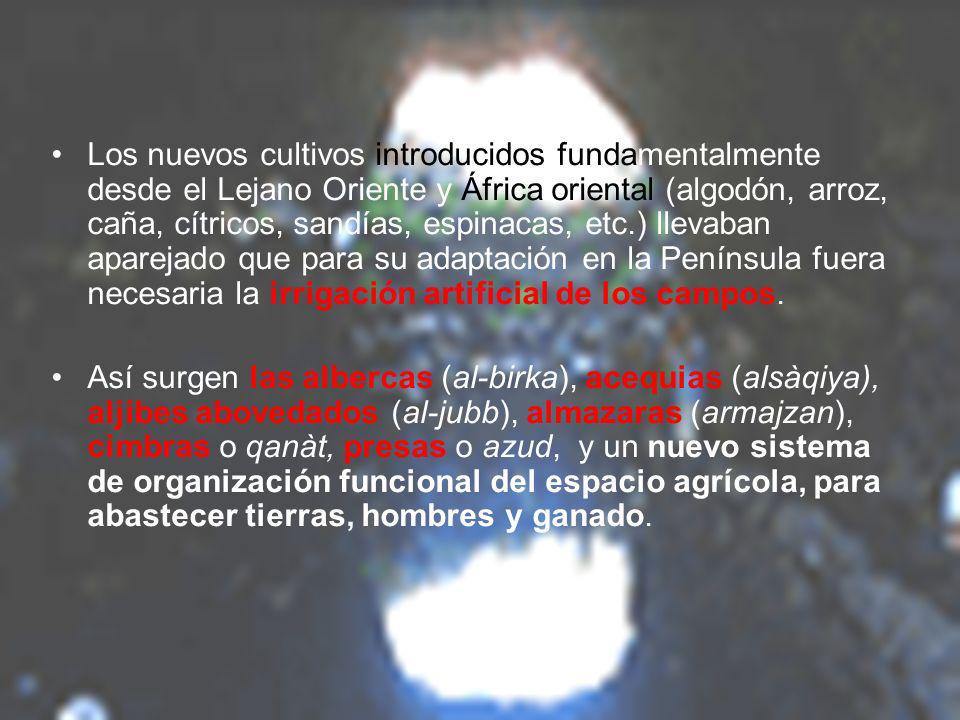 Los nuevos cultivos introducidos fundamentalmente desde el Lejano Oriente y África oriental (algodón, arroz, caña, cítricos, sandías, espinacas, etc.) llevaban aparejado que para su adaptación en la Península fuera necesaria la irrigación artificial de los campos.