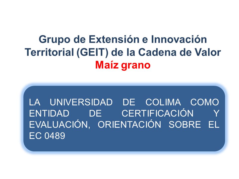 Grupo de Extensión e Innovación Territorial (GEIT) de la Cadena de Valor Maíz grano
