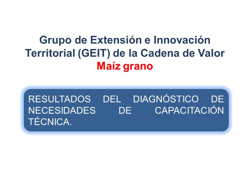 Grupo de Extensión e Innovación Territorial (GEIT) de la Cadena de Valor Maíz grano