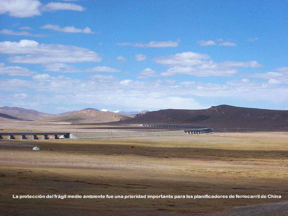 La protección del frágil medio ambiente fue una prioridad importante para los planificadores de ferrocarril de China