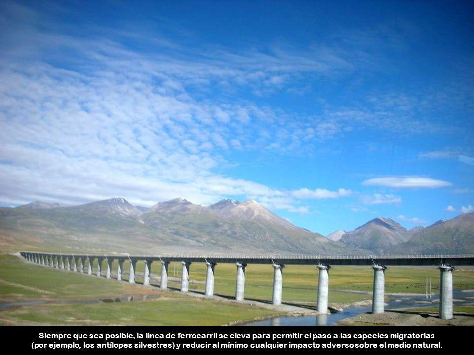 Siempre que sea posible, la línea de ferrocarril se eleva para permitir el paso a las especies migratorias (por ejemplo, los antílopes silvestres) y reducir al mínimo cualquier impacto adverso sobre el medio natural.