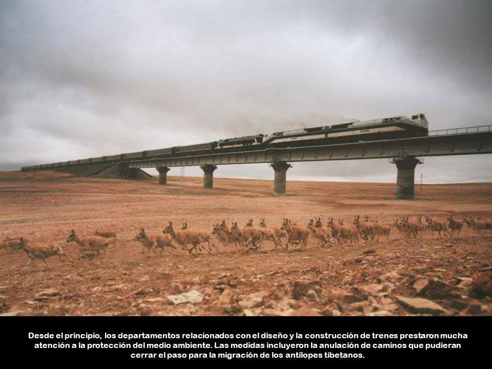 Desde el principio, los departamentos relacionados con el diseño y la construcción de trenes prestaron mucha atención a la protección del medio ambiente.