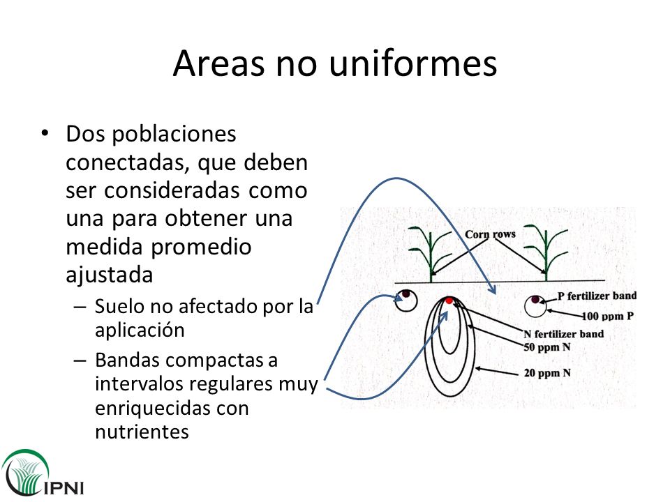 Areas no uniformes Dos poblaciones conectadas, que deben ser consideradas como una para obtener una medida promedio ajustada.