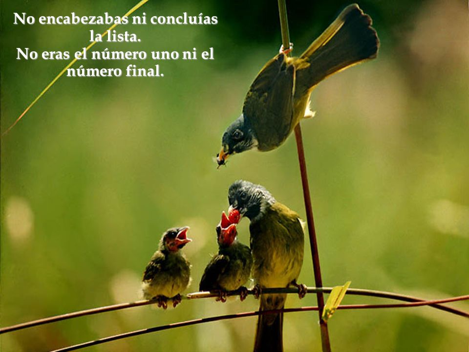 No encabezabas ni concluías la lista.