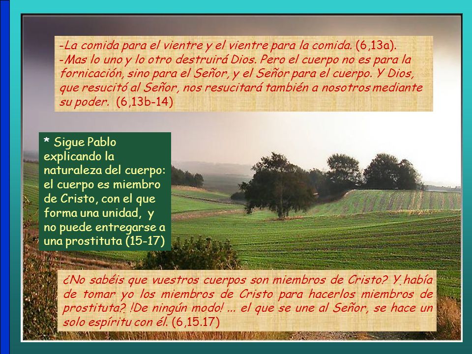 La comida para el vientre y el vientre para la comida. (6,13a).