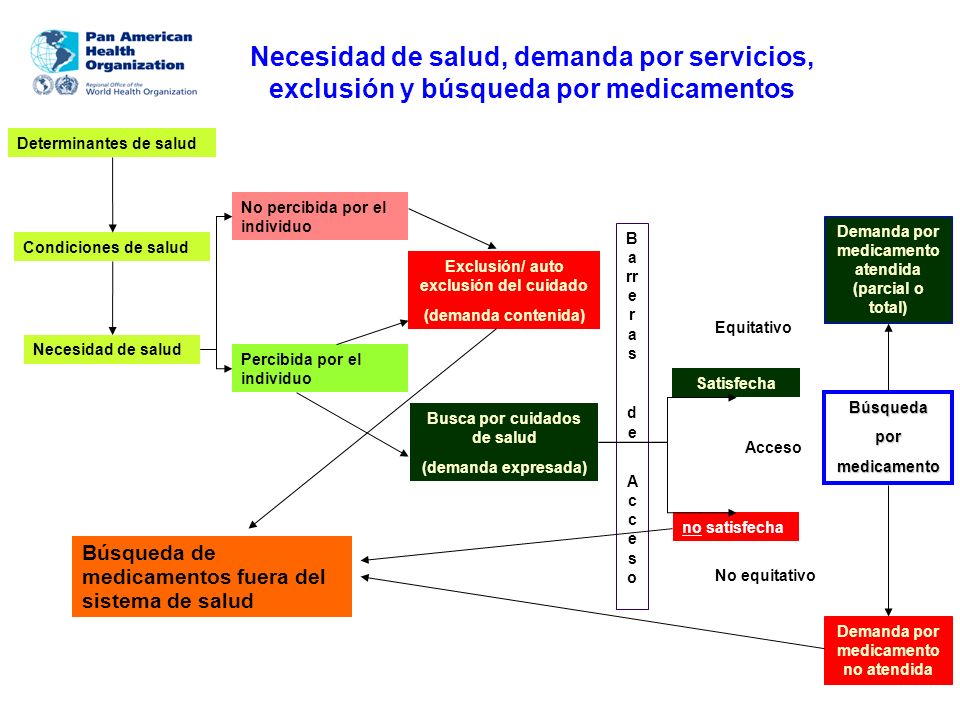 Necesidad de salud, demanda por servicios, exclusión y búsqueda por medicamentos