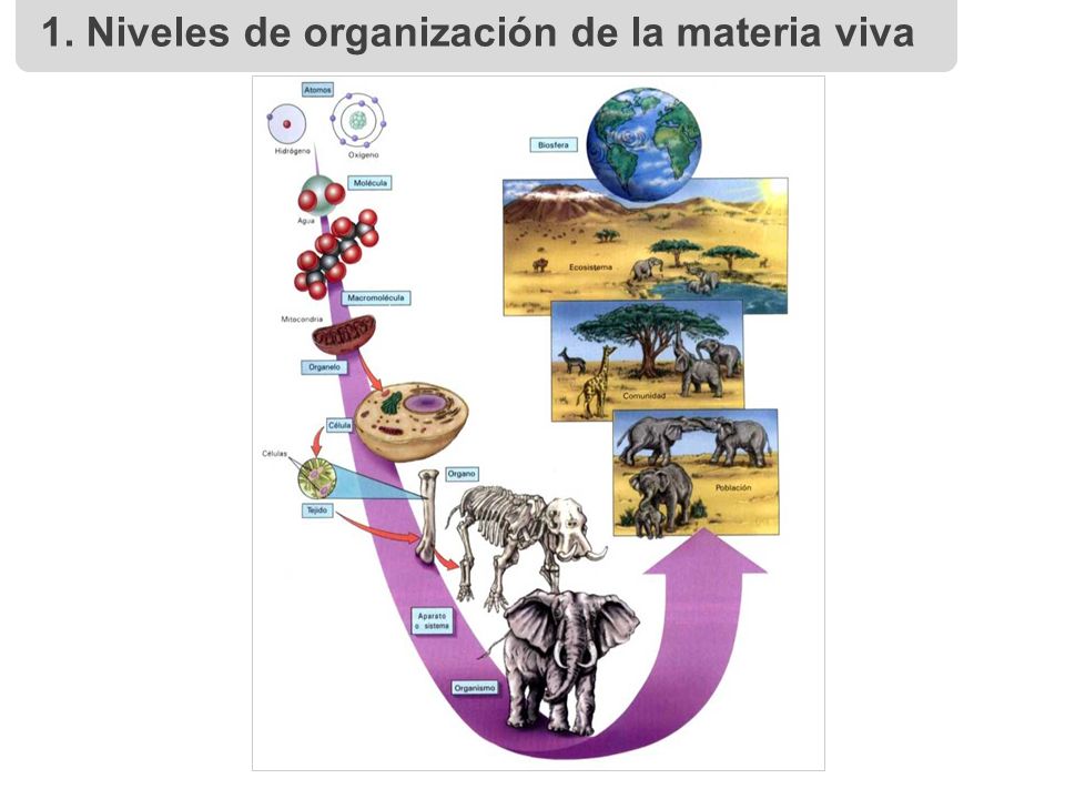 epub application of structural equation modeling in educational research