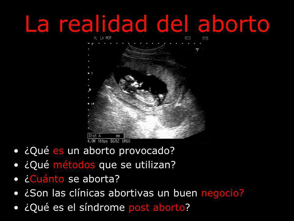 La realidad del aborto ¿Qué es un aborto provocado