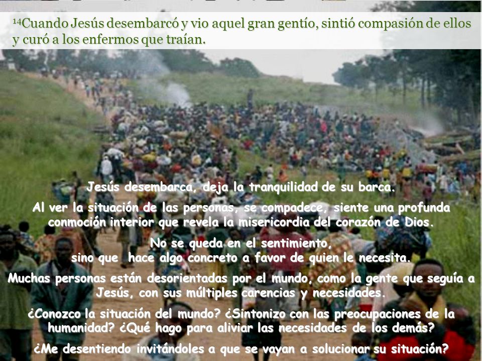 14Cuando Jesús desembarcó y vio aquel gran gentío, sintió compasión de ellos y curó a los enfermos que traían.