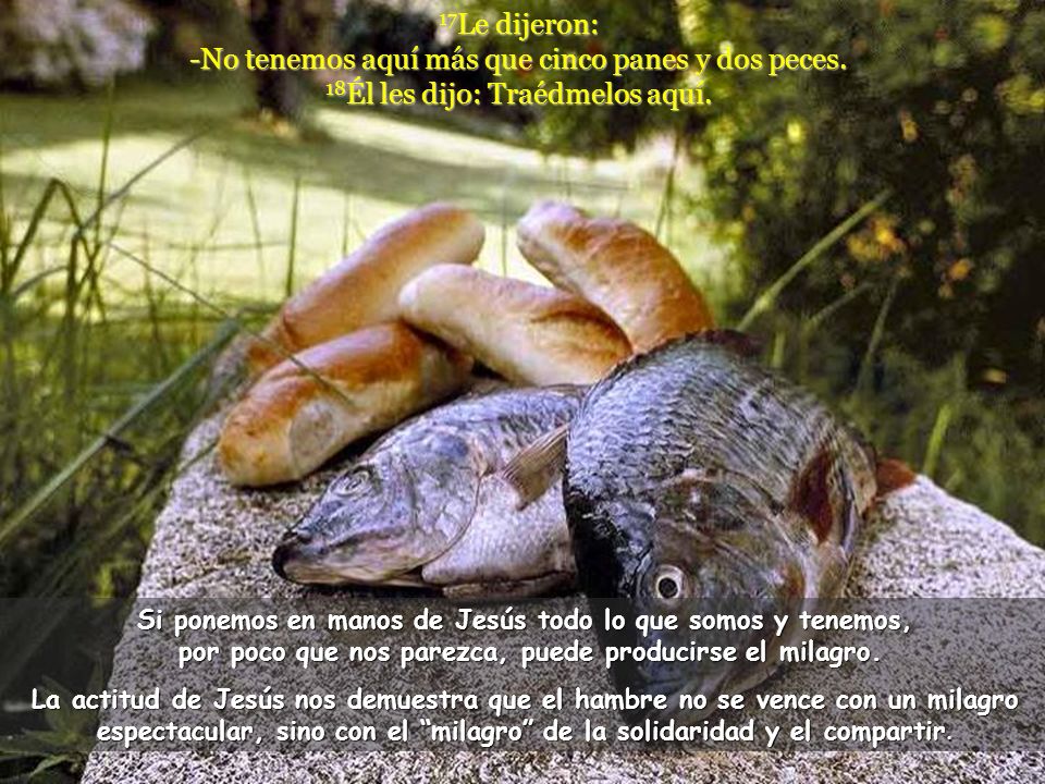 17Le dijeron: -No tenemos aquí más que cinco panes y dos peces