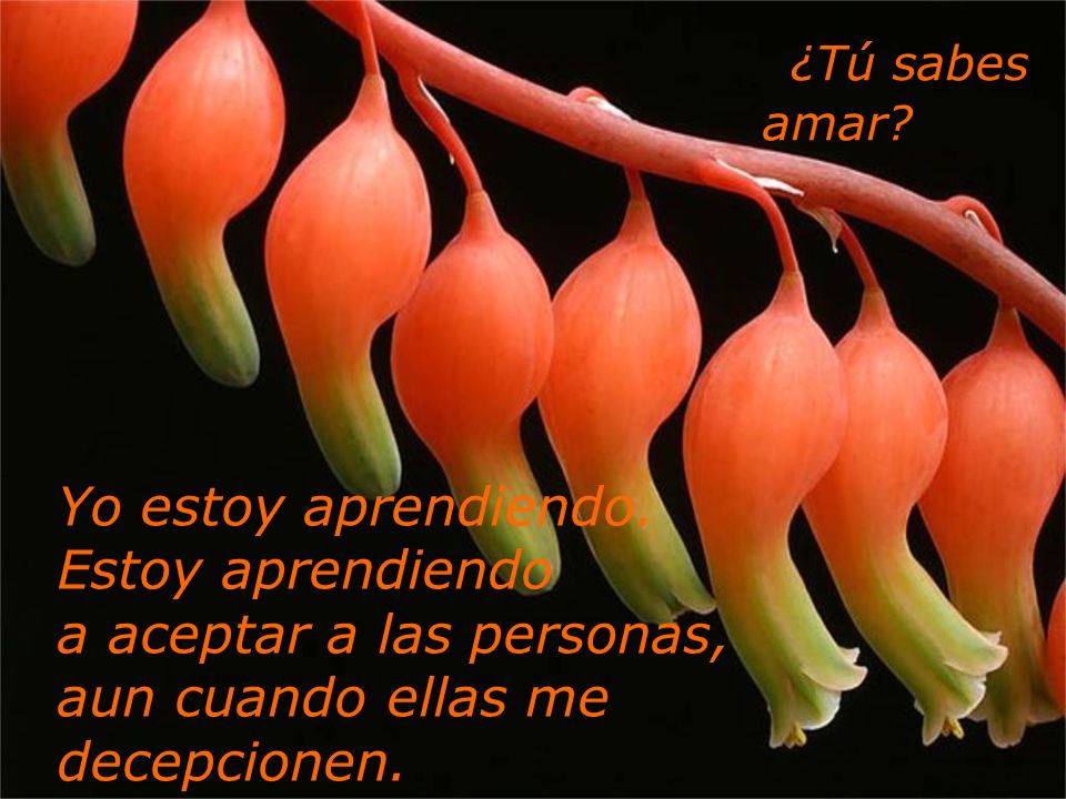 a aceptar a las personas, aun cuando ellas me decepcionen.