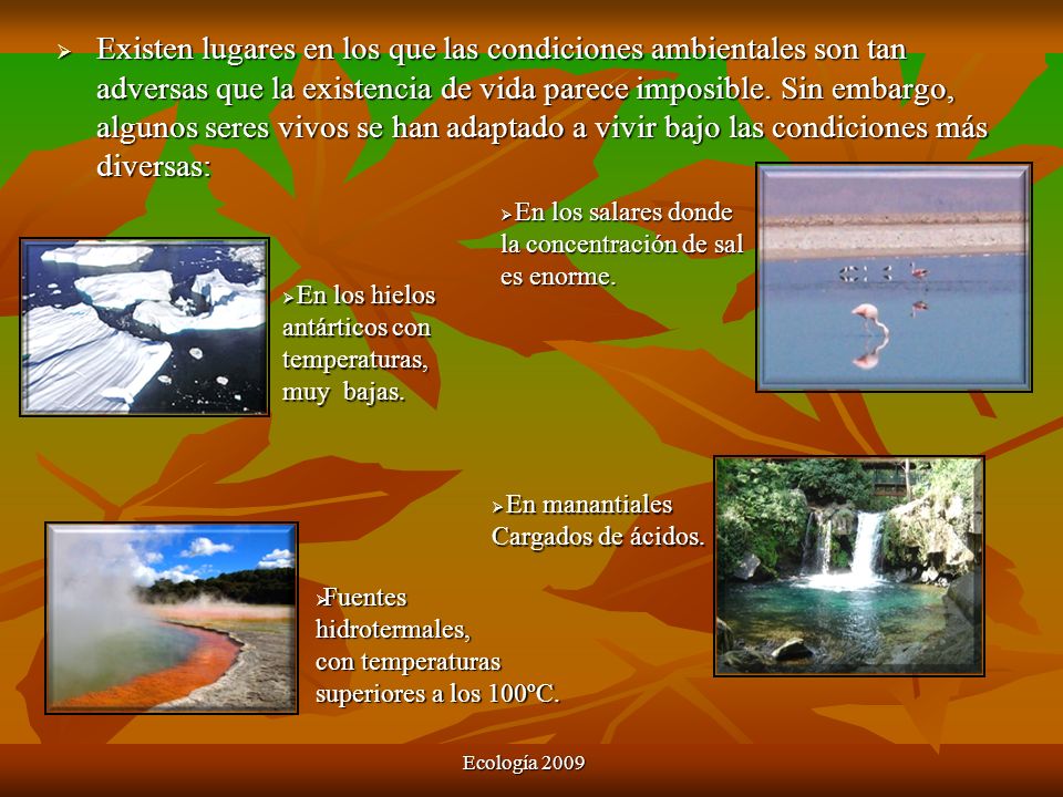 Existen lugares en los que las condiciones ambientales son tan adversas que la existencia de vida parece imposible. Sin embargo, algunos seres vivos se han adaptado a vivir bajo las condiciones más diversas:
