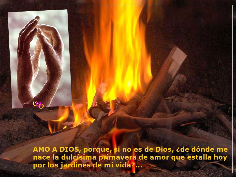 AMO A DIOS, porque, si no es de Dios, ¿de dónde me nace la dulcísima primavera de amor que estalla hoy por los jardines de mi vida ...