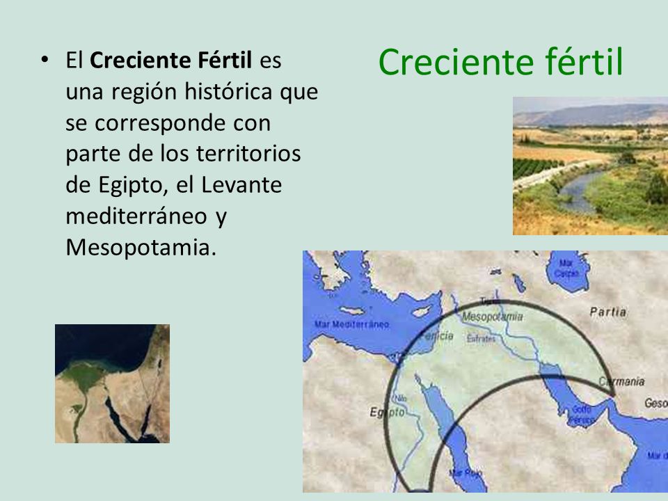 Creciente fértil